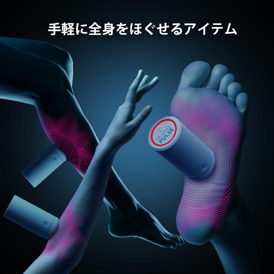 VACUUMER PULSE　バキューマーパルス 2セット組 |  | 06