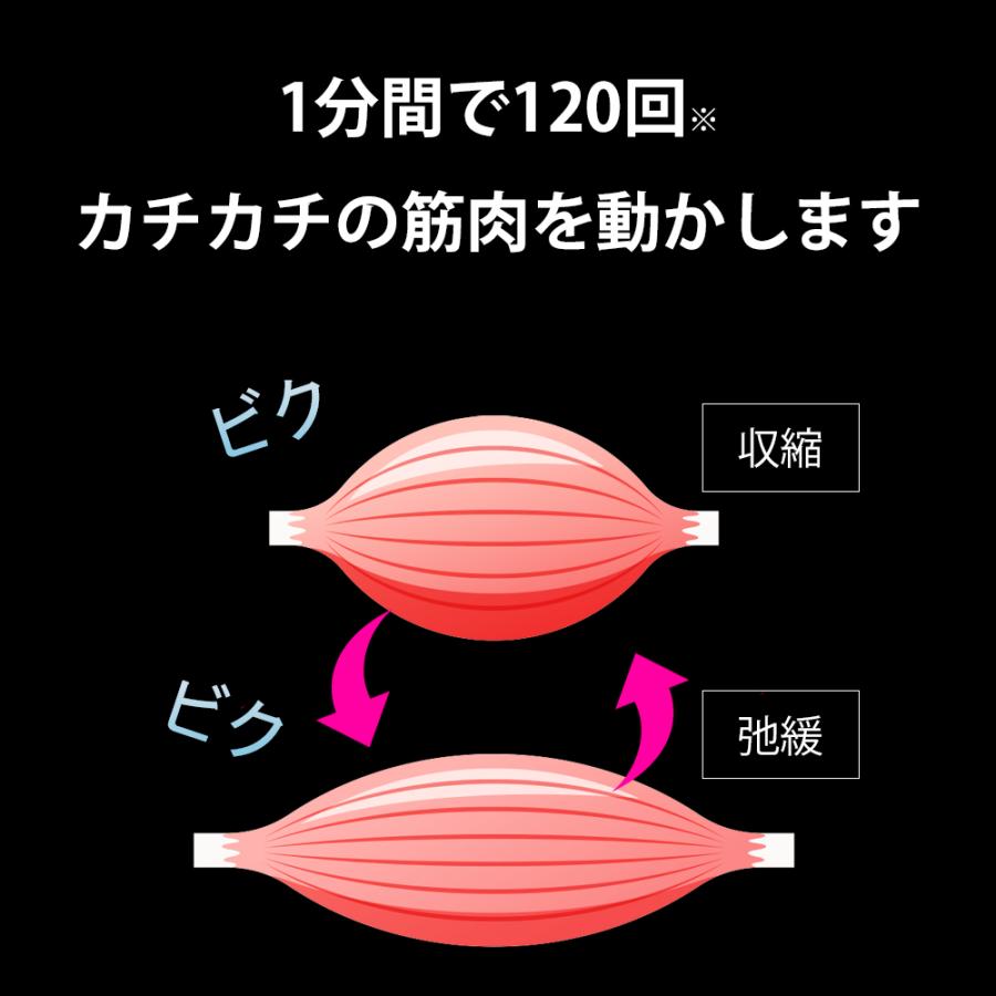 VACUUMER PULSE　バキューマーパルス 2セット組 |  | 09