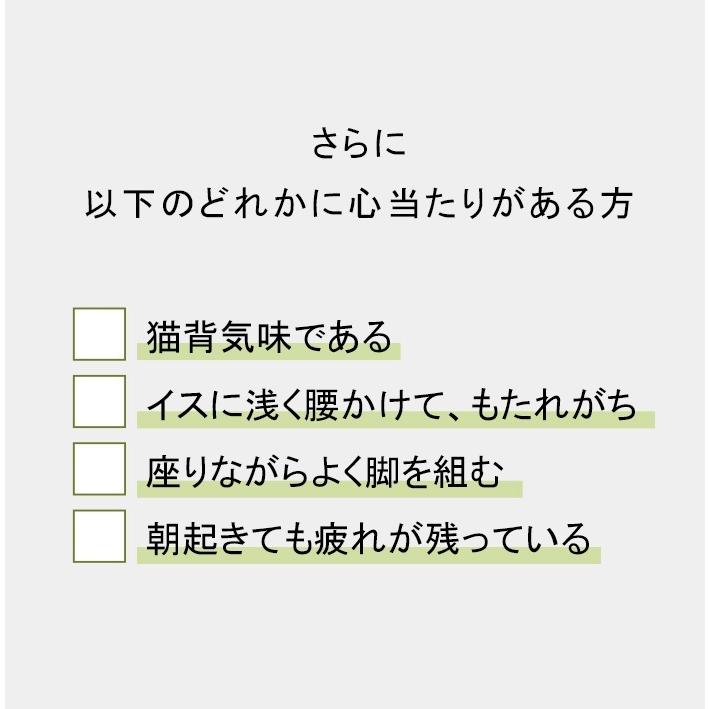 タイボールズLサイズ TIE BALLS セルフ  タイ古式マッサージ |  | 05