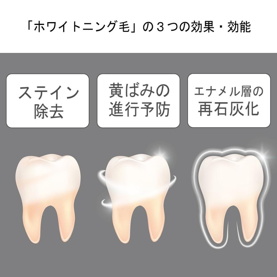 ホワイトニング 歯ブラシ 5本 ホワイタフト  歯の美白   クリア ステイン黄ばみ 再石灰化 除去  日本製 幅広 奥まで届く  オシャレ    white tufted clear｜mogoshop｜02