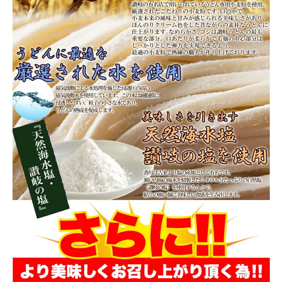 10%OFFクーポン配布中 生うどん 鎌田醤油特製ダシ醤油6袋付き!!讃岐うどん6食分600g（300g×2袋） 讃岐うどん つゆ付き 生うどん 産地直送｜mogu-mogu｜09