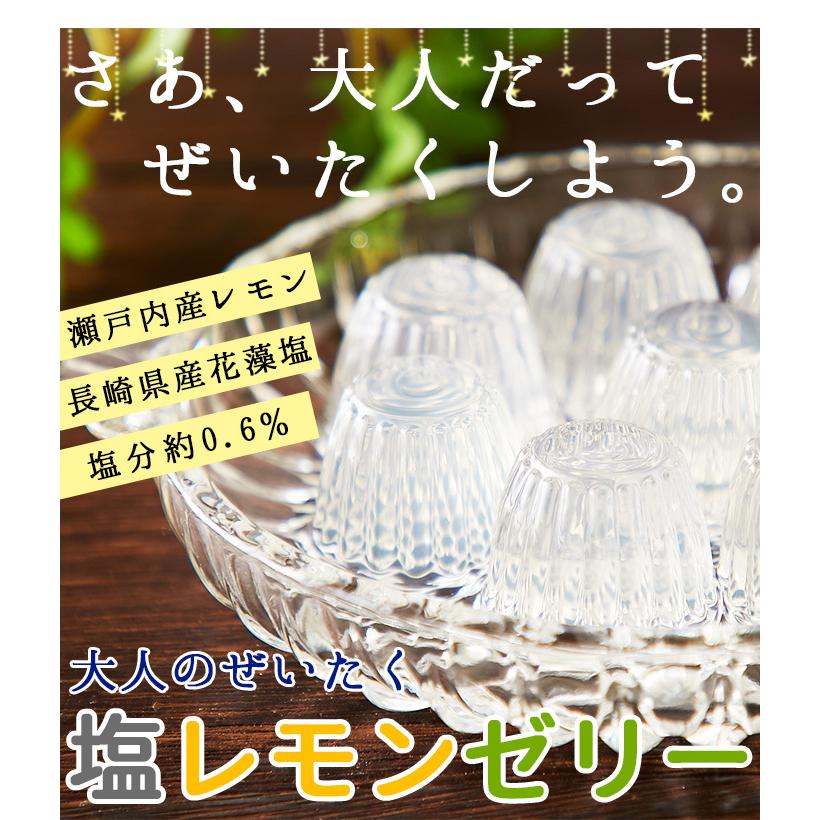 熱中症対策 ゼリー 大人のぜいたく塩レモンゼリー大容量50個入り 塩 