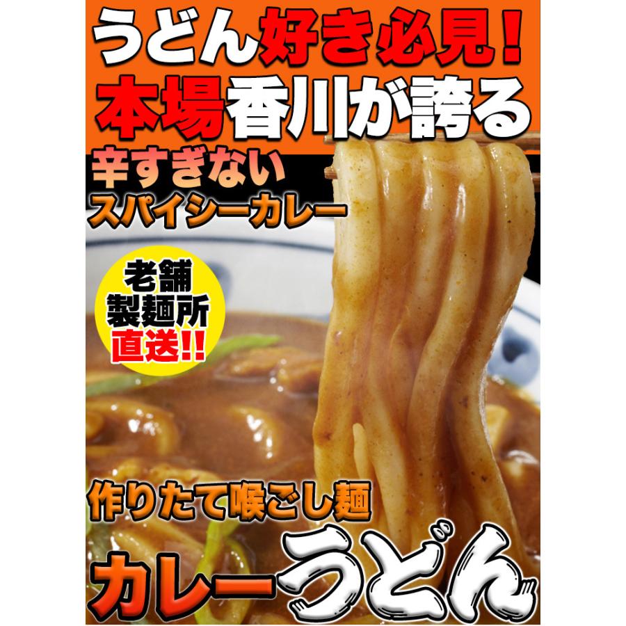 10%OFFクーポン配布中 讃岐の製麺所が作る、レンジで簡単！辛すぎないスパイシーなカレーうどん4食(180g×4) 敬老の日｜mogu-mogu｜02