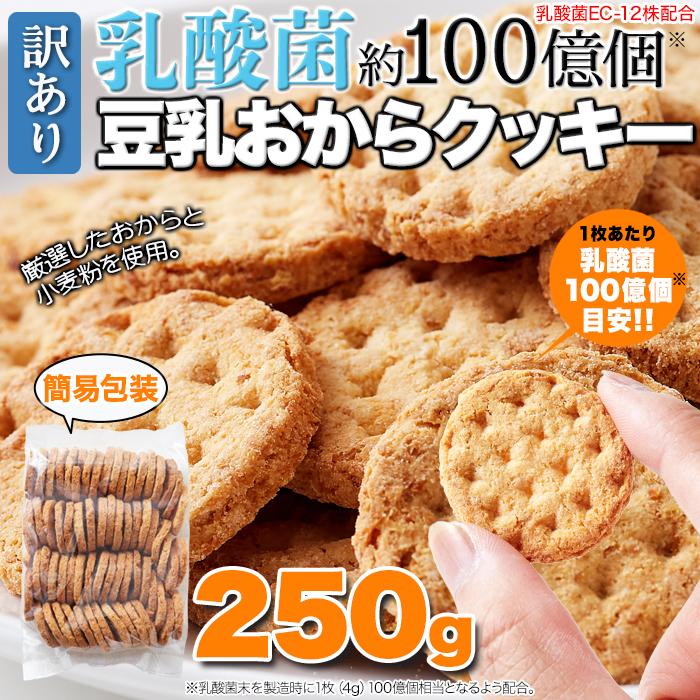 訳ありお豆腐屋さんのかたいおからクッキー 250g×20袋 訳ありお豆腐屋