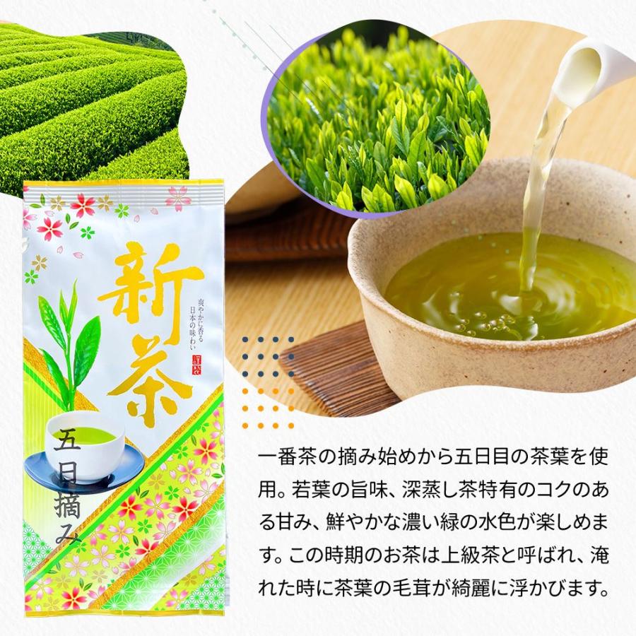 新茶 2024 限定 五日摘み 200g 静岡茶 深蒸し茶 お茶 緑茶 茶葉 煎茶 お茶の葉 日本茶｜moguhagu｜02