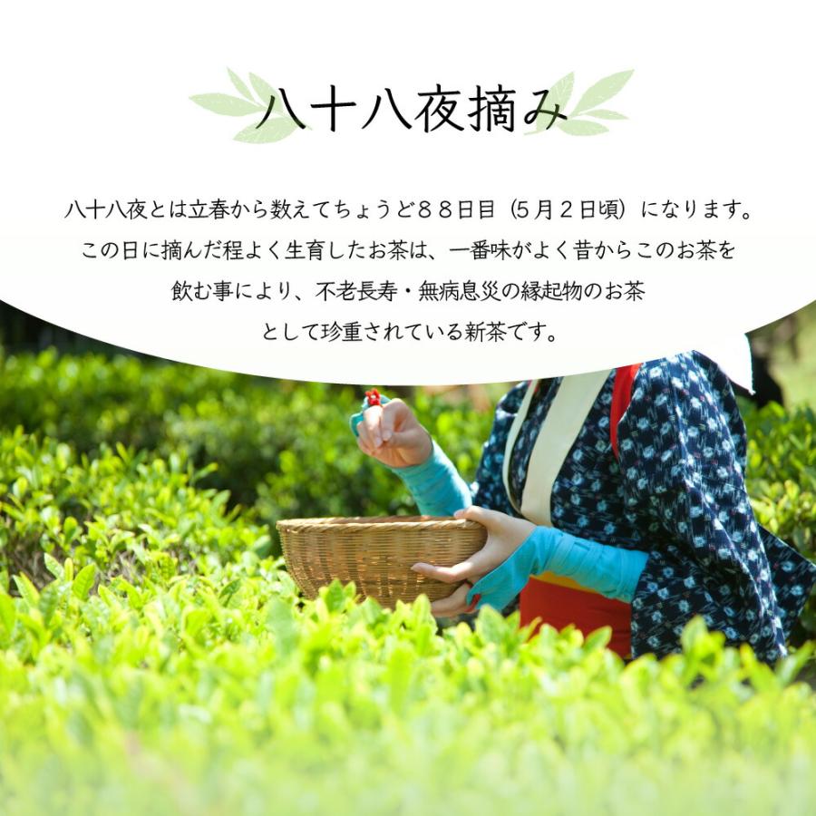 みずたま農園製茶場 お茶 緑茶 茶葉 お茶の葉 たっぷり 2キロ 八十八夜
