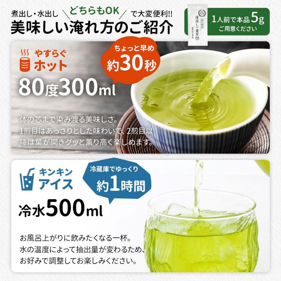 お茶 緑茶 お茶の葉 100g 限定特蒸 深蒸し一番茶 静岡茶 茶葉 深蒸し茶