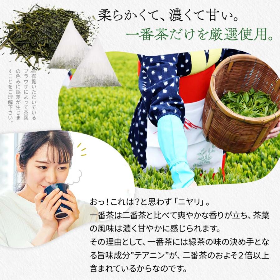 緑茶 ティーバッグ お茶 深蒸し茶 3.5g×20個 静岡茶 日本茶 カテキン