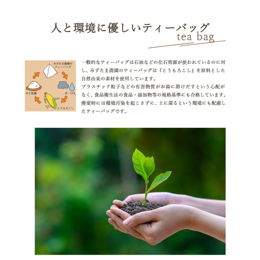 烏龍茶 国産 ティーバッグ 2g×50個入 水出し お試し ギフト お茶 日本産 ゴクゴクすっきり 静岡茶 大容量 | みずたま農園製茶場 | 04