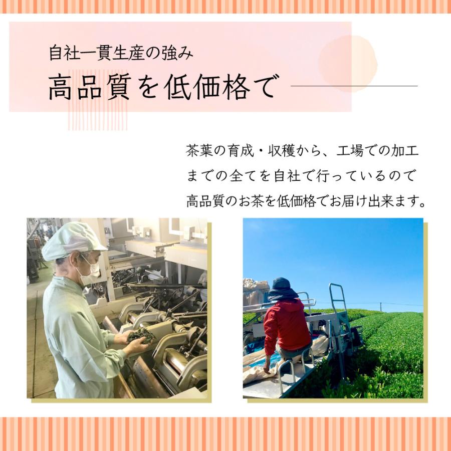 大人の上質 3袋セット 粉末和紅茶50ｇ