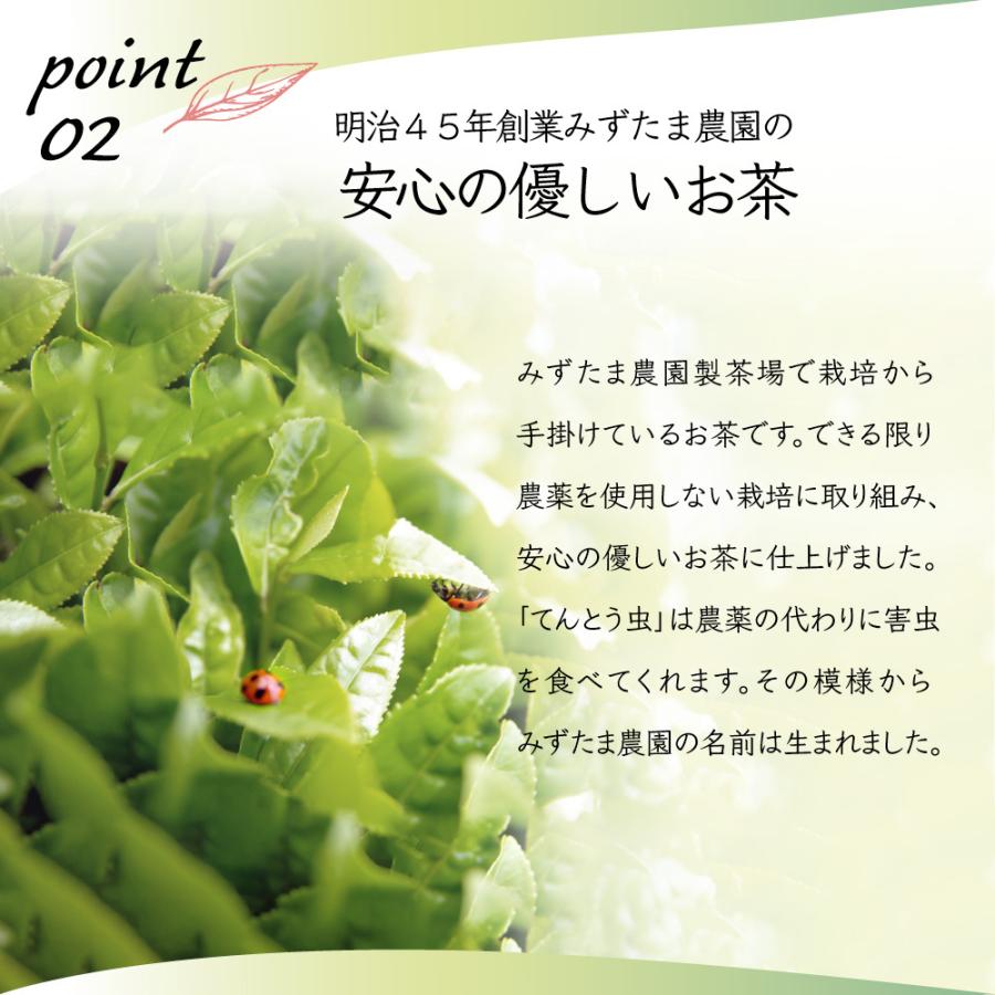 茶葉の栄養 まるごと 粉末和紅茶 Black Tea 225g ドリンク 水 お酒