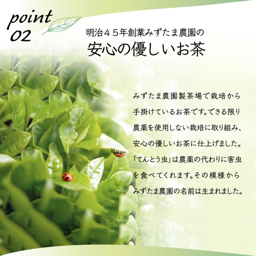 玄米茶 粉末 225g お茶 緑茶 業務用 国産 静岡茶 日本茶 茶葉の栄養「まるごと」 粉末玄米茶｜moguhagu｜07