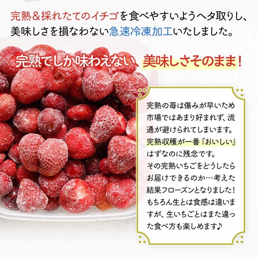 72 Off 完熟 フローズンいちご 1kg 500ｇ 2袋 べにほっぺ まるごと食べる 冷凍 苺 イチゴ 果物 フルーツ 国産 静岡県産 紅ほっぺ もぐはぐ農園