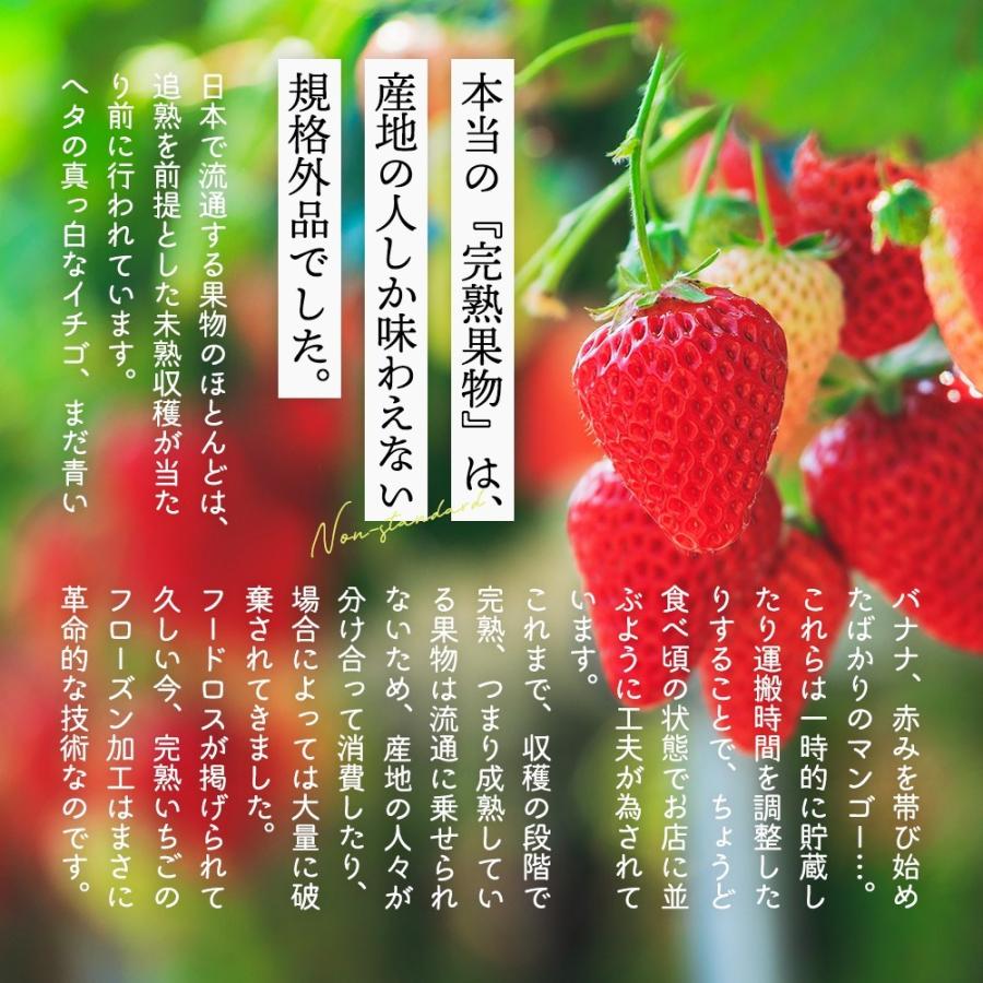 72 Off 完熟 フローズンいちご 1kg 500ｇ 2袋 べにほっぺ まるごと食べる 冷凍 苺 イチゴ 果物 フルーツ 国産 静岡県産 紅ほっぺ もぐはぐ農園