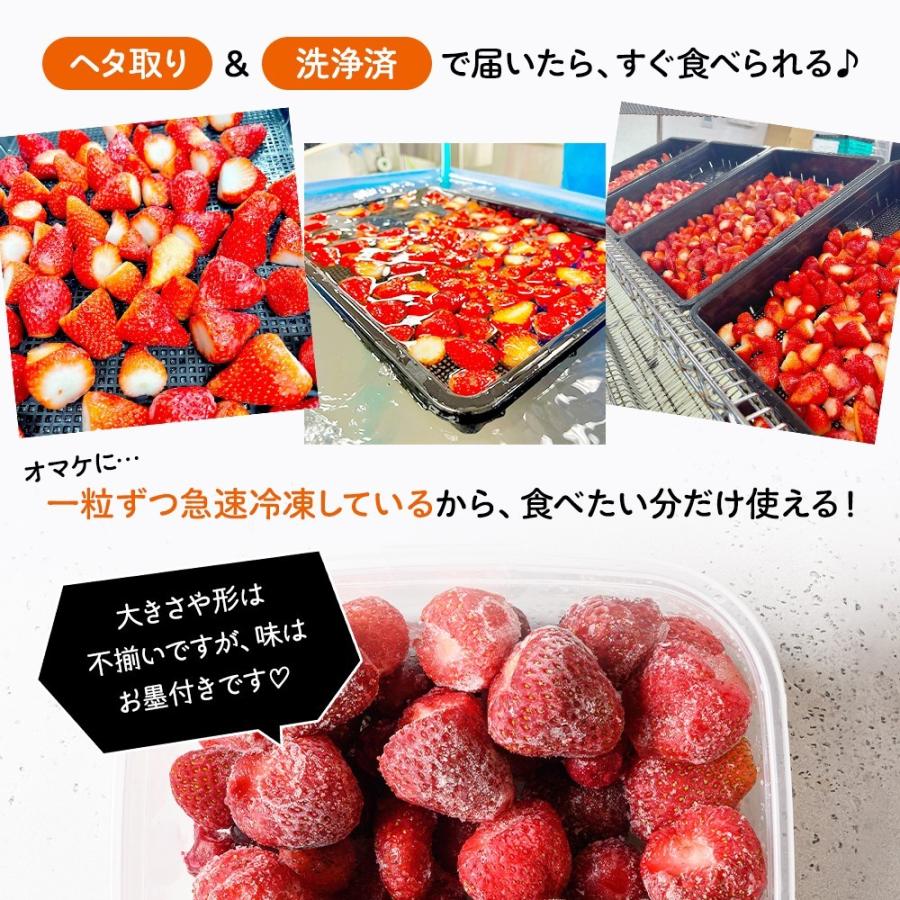 72 Off 完熟 フローズンいちご 1kg 500ｇ 2袋 べにほっぺ まるごと食べる 冷凍 苺 イチゴ 果物 フルーツ 国産 静岡県産 紅ほっぺ もぐはぐ農園