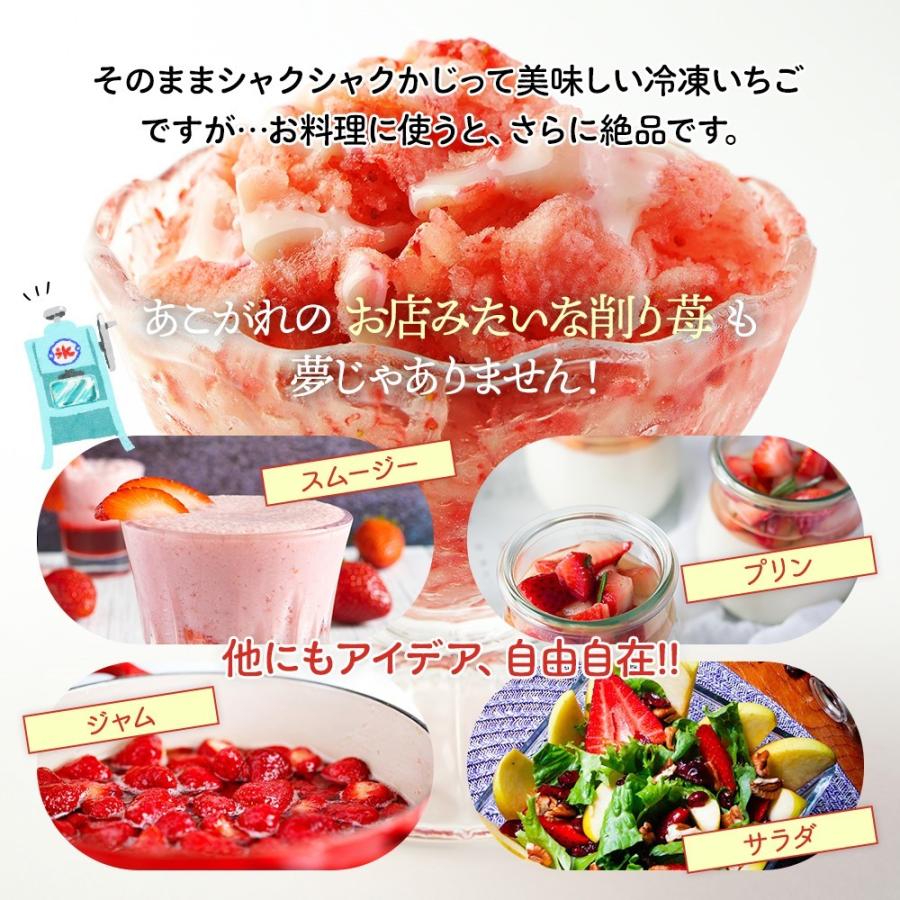 72 Off 完熟 フローズンいちご 1kg 500ｇ 2袋 べにほっぺ まるごと食べる 冷凍 苺 イチゴ 果物 フルーツ 国産 静岡県産 紅ほっぺ もぐはぐ農園