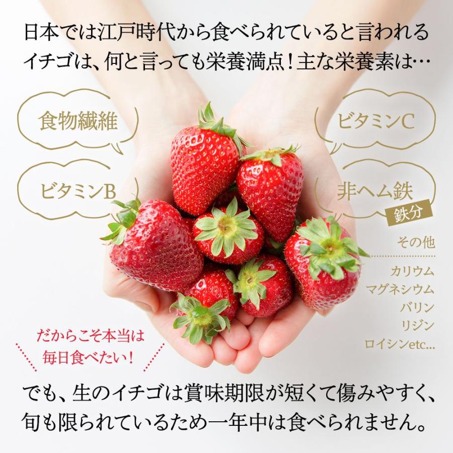 みずたま農園製茶場 けずりいちご2kg（500g×4袋） 冷凍 苺 イチゴ