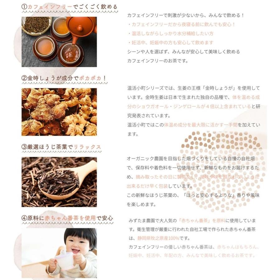 生姜茶 金時生姜 × ほうじ茶 ティーバッグ 5g×10個 温活小町 お茶 ノンカフェイン しょうが茶 静岡茶｜moguhagu｜08