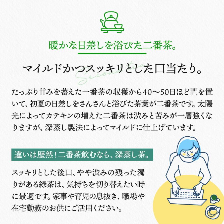 お茶 緑茶 お茶の葉 茶葉 ゴクゴクすっきり 深蒸し茶 100g 日本茶 煎茶 静岡茶 カテキン 牧之原 リーフ 無添加｜moguhagu｜05