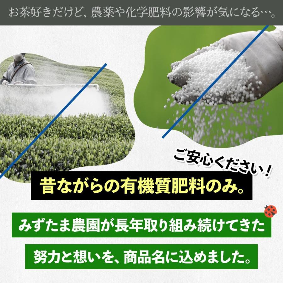 新茶 でお届け 2024 お茶 2本購入で100gおまけ 農薬不使用 緑茶 茶葉 200g お茶の葉 深蒸し茶 日本茶 静岡茶 農薬も化学肥料も使わないで育てたお茶｜moguhagu｜04