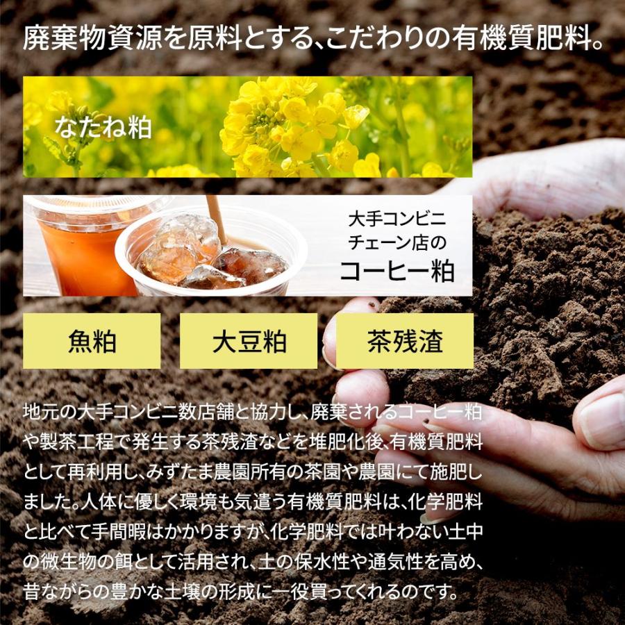 新茶 でお届け 2024 お茶 2本購入で100gおまけ 農薬不使用 緑茶 茶葉 200g お茶の葉 深蒸し茶 日本茶 静岡茶 農薬も化学肥料も使わないで育てたお茶｜moguhagu｜06