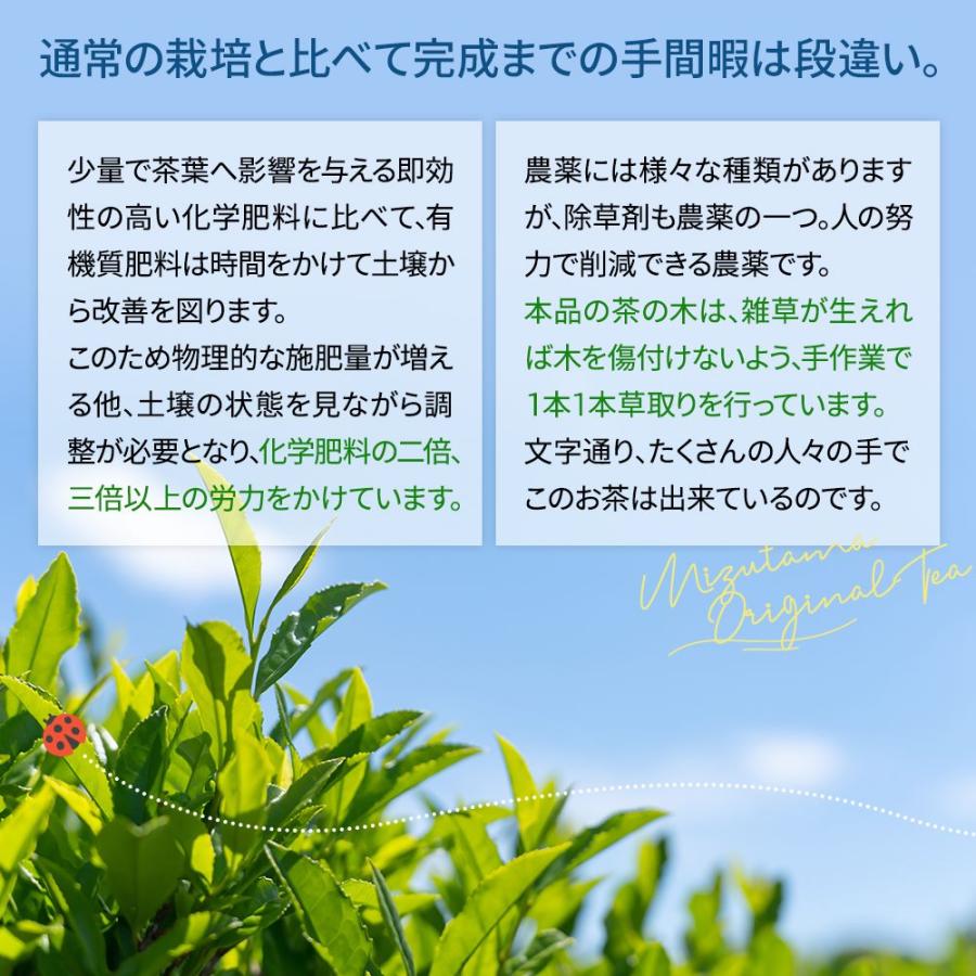 新茶 でお届け 2024 お茶 2本購入で100gおまけ 農薬不使用 緑茶 茶葉 200g お茶の葉 深蒸し茶 日本茶 静岡茶 農薬も化学肥料も使わないで育てたお茶｜moguhagu｜07