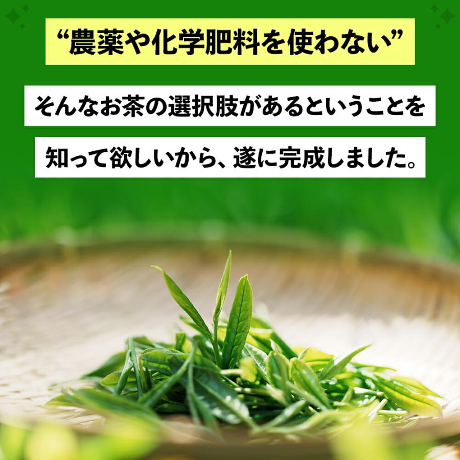 新茶 でお届け 2024 お茶 緑茶 農薬不使用 100g×３袋 お茶の葉 茶葉 深蒸し茶 日本茶 静岡茶 牧之原 煎茶 農薬も化学肥料も使わないで育てたお茶｜moguhagu｜03