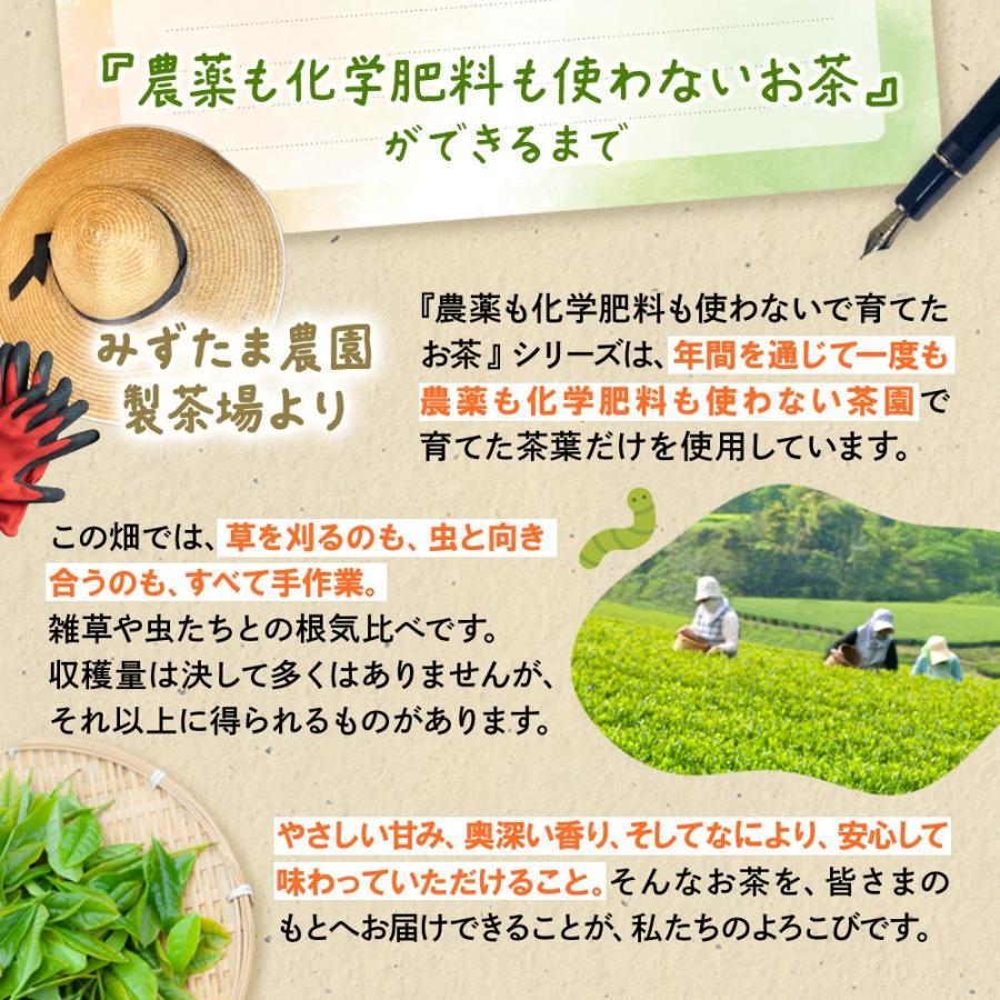 みずたま農園製茶場 お茶 緑茶 農薬不使用 ティーバッグ 2.5g×50包 水