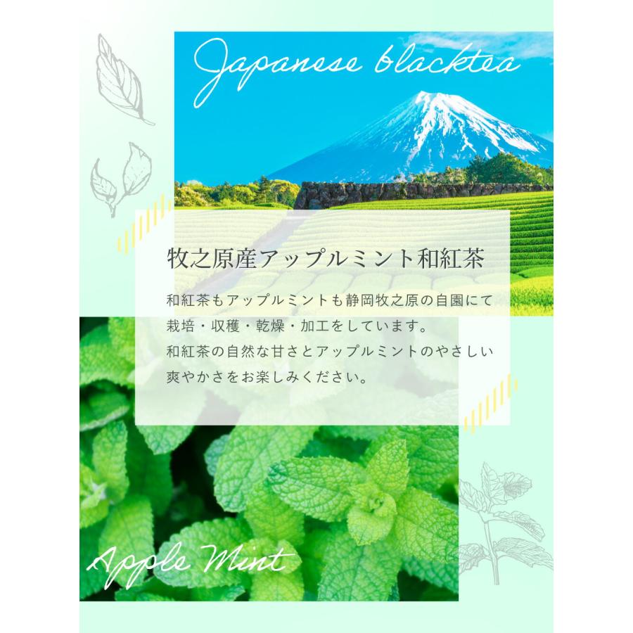みずたま農園製茶場 ハーブティー アップルミント × 和紅茶 国産