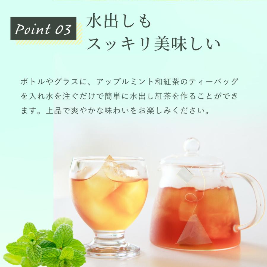 みずたま農園製茶場 ハーブティー アップルミント × 和紅茶 国産