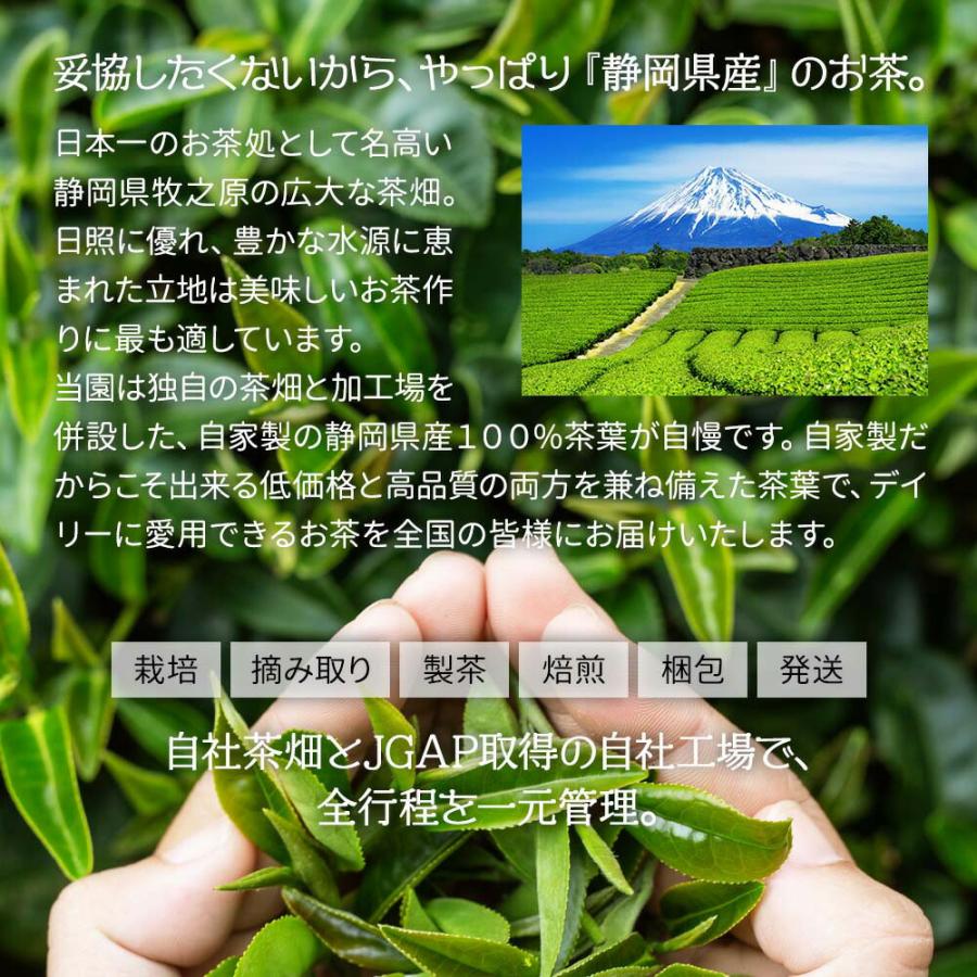 父の日 お茶 高級 ギフト 静岡茶 紅白 100g×2本 茶葉 お茶の葉 低温熟成 蔵出し茶 限定特蒸 こいこがね 緑茶 深蒸し茶 煎茶 日本茶｜moguhagu｜02