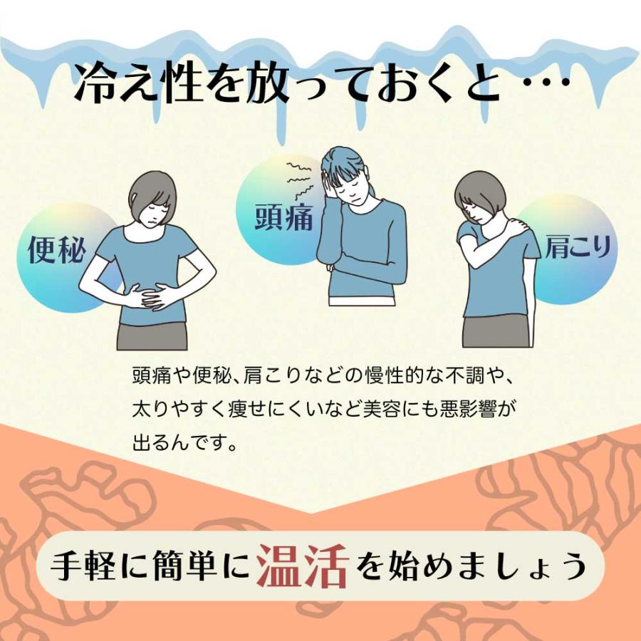 金時生姜パウダー 100g 生姜粉末 国産 しょうが ジンジャー 粉末 パウダー｜moguhagu｜03