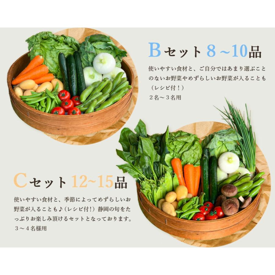 みずたま農園製茶場 採れたて！ 静岡 野菜セット B 8〜9品目 農家直送