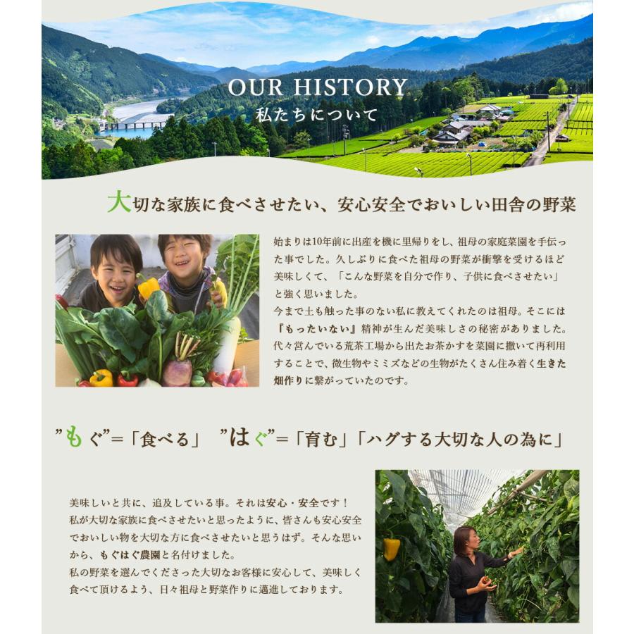 採れたて！ 静岡 野菜セット C 12〜13品目 農家直送 産地直送 お試し 詰め合わせ 旬野菜 新鮮｜moguhagu｜05