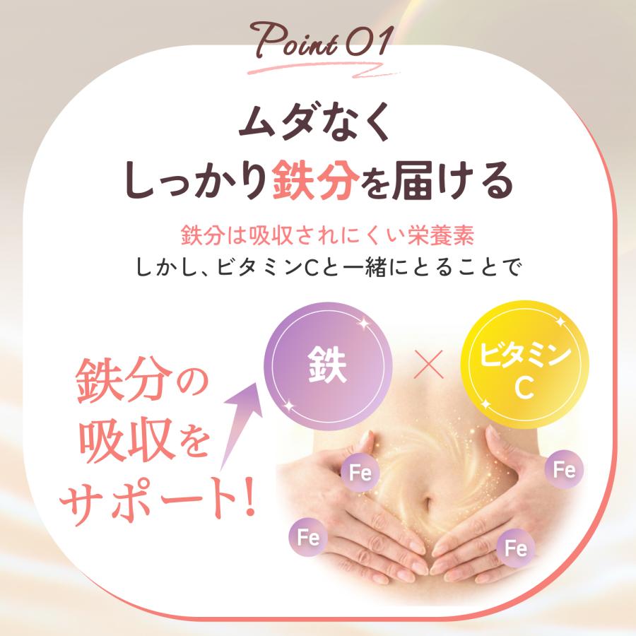 鉄分 6.0mg マイオーツ 20包 貧血 オートミール 鉄 ビタミンC ビタミンD 置き換え ダイエット 腸活 粉末 小包装 きなこ味 飲む栄養 栄養機能食品 |  | 03