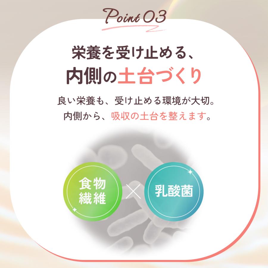 鉄分 6.0mg マイオーツ 20包 貧血 オートミール 鉄 ビタミンC ビタミンD 置き換え ダイエット 腸活 粉末 小包装 きなこ味 飲む栄養 栄養機能食品 |  | 05