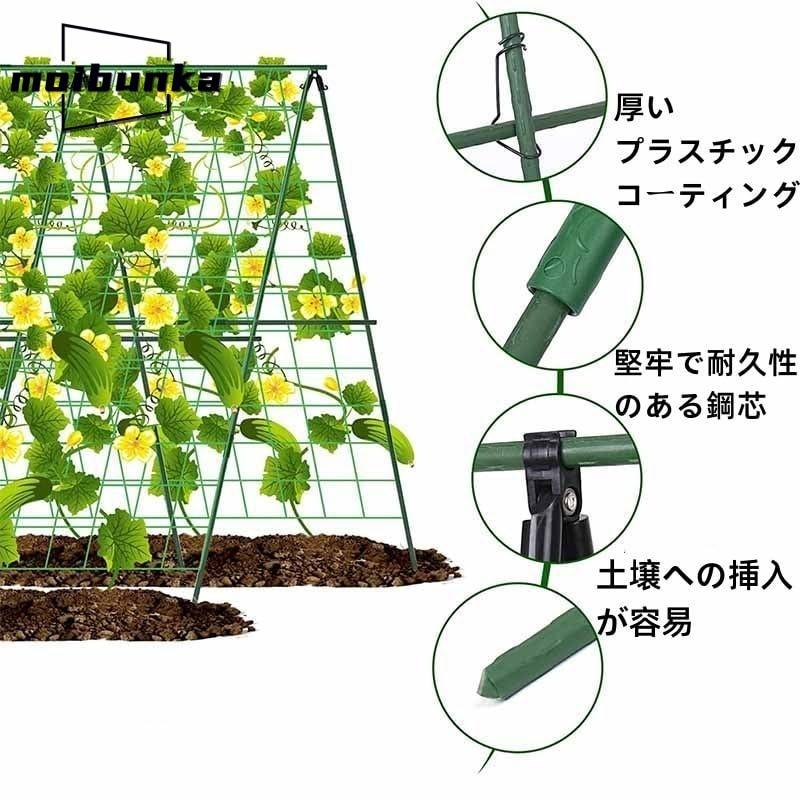 キュウリ アーチ 園芸用支柱 棚 支柱 支柱・トンネルパッカー 農業資材