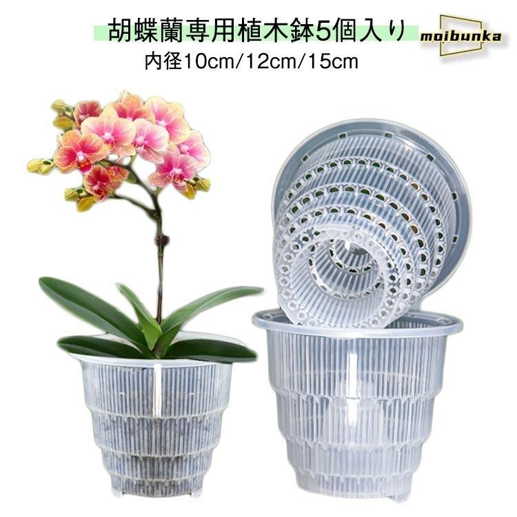 観葉植物の鉢 胡蝶蘭専用 5個入り 胡蝶蘭 内径10cm/12cm/15cm 直径12cm