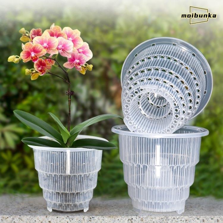 観葉植物の鉢 胡蝶蘭専用 5個入り 胡蝶蘭 内径10cm/12cm/15cm 直径12cm