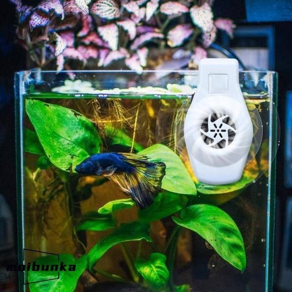 水族館チラーファン静音 2 可変速度 USB ケーブル水槽冷却ファン ブルー : MOIBUNKAYahoo!SHOP - 通販 -  Yahoo!ショッピング 億騰 水族館 水槽 魚のタンク 冷却ファン 養殖 調整可能な風速 6頭 DC 12V