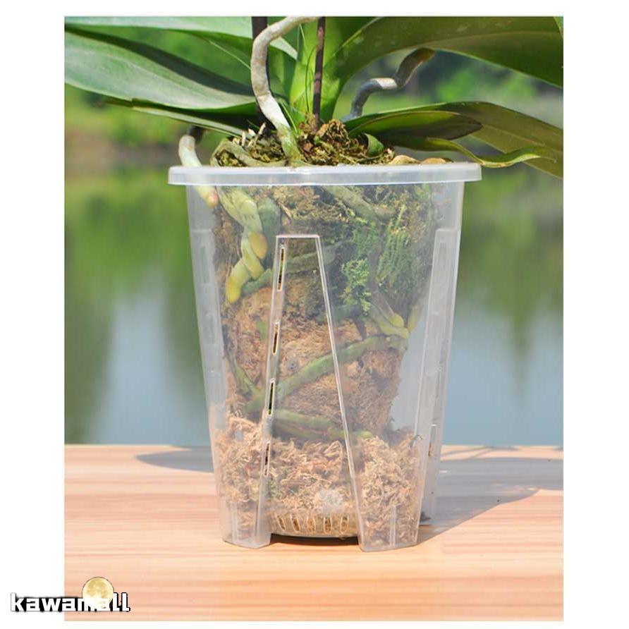 プラスチック 胡蝶蘭の植え替え 植木鉢 穴付き 透明 10鉢セット 洋蘭鉢