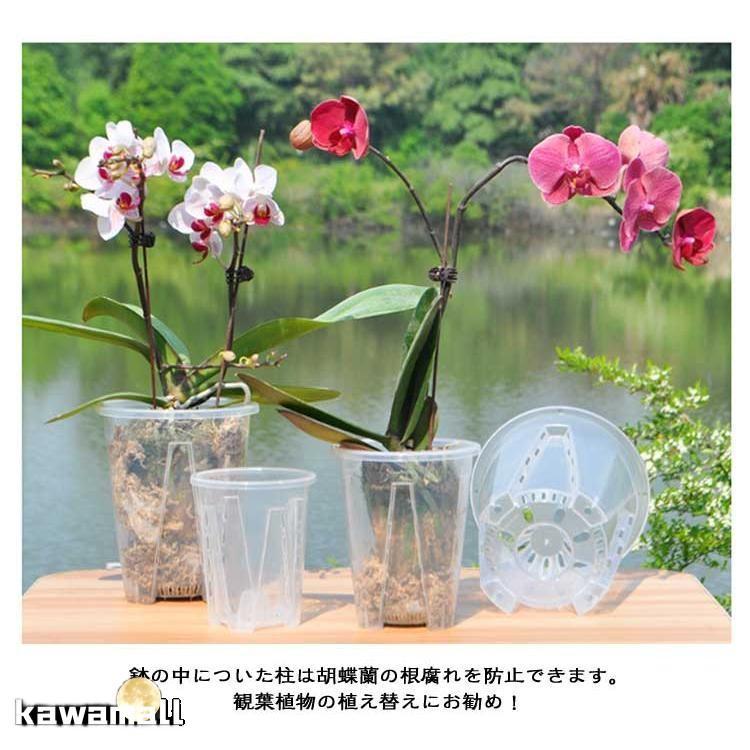 プラスチック 胡蝶蘭の植え替え 植木鉢 穴付き 透明 10鉢セット 洋蘭鉢