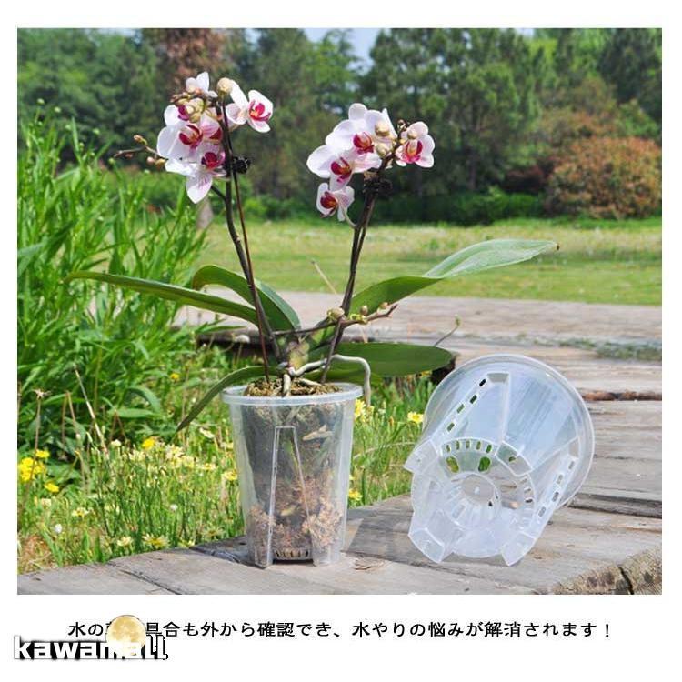 プラスチック 胡蝶蘭の植え替え 植木鉢 穴付き 透明 10鉢セット 洋蘭鉢