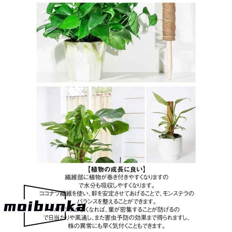 3本セット 園芸支柱 トマト モンステラ 支柱 ココスティック 観葉植物