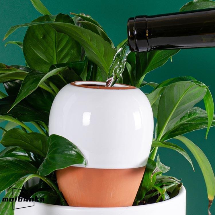 B141 陶器 水差し 木箱付き 水差し 黄瀬戸マット｜観葉植物用