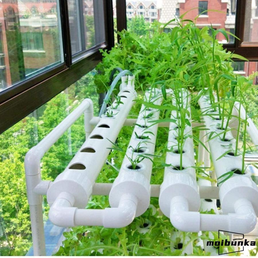 水耕栽培キット 水耕栽培 植物 野菜用具 植物育成 家庭菜園 室内 ベランダ 水耕栽培セット (108穴)_1