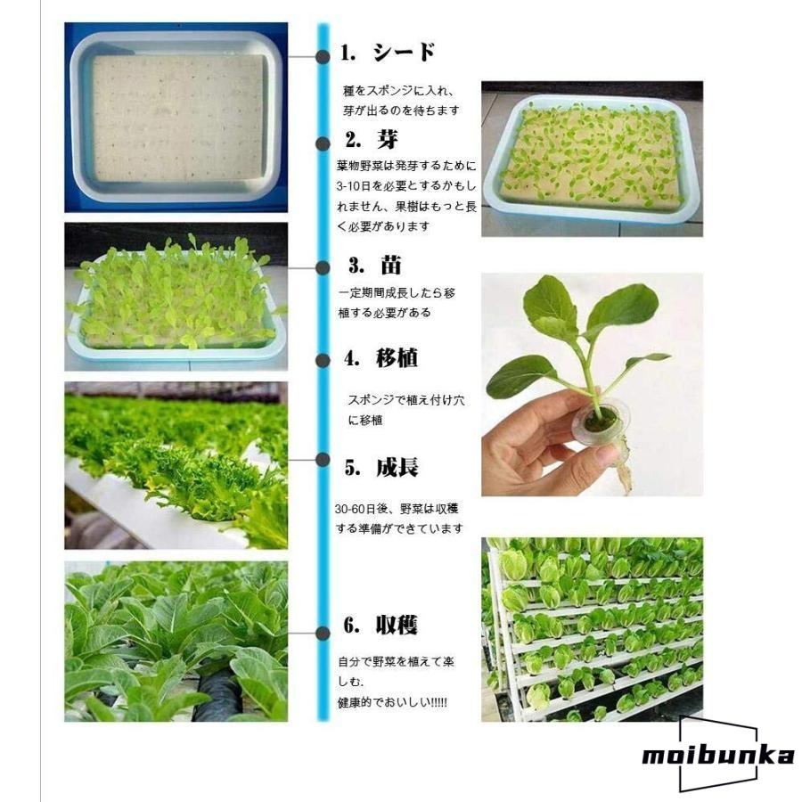 水耕栽培キット 水耕栽培 植物 野菜用具 植物育成 家庭菜園 室内 ベランダ 水耕栽培セット (108穴)_2
