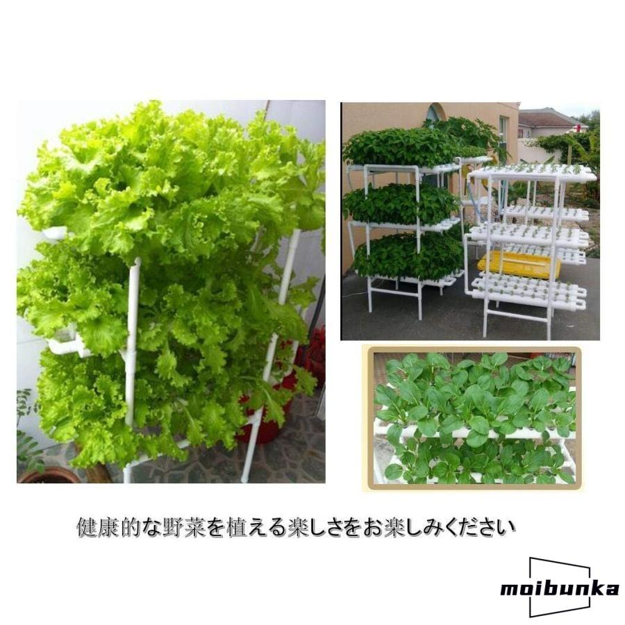 水耕栽培キット 水耕栽培 植物 野菜用具 植物育成 家庭菜園 室内 ベランダ 水耕栽培セット (108穴)_3