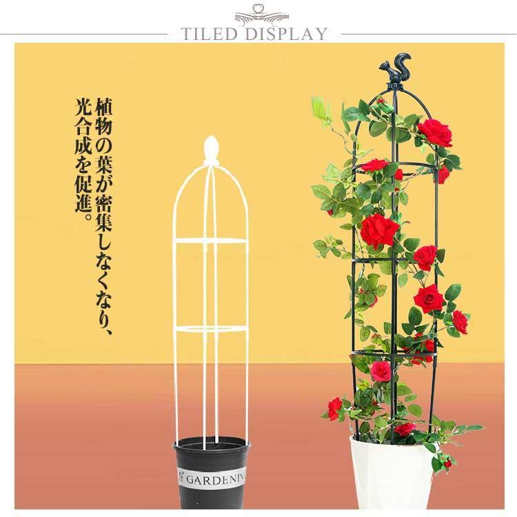 支柱 トレリス 簡易組立式 プラスチック製 バラ つる性植物 つる花