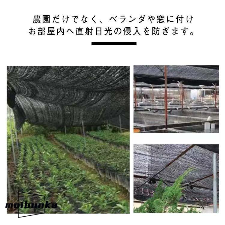 遮光ネット 日除けネット 6mx30m 遮光率 50％ 農園用 園芸用 遮光 遮熱
